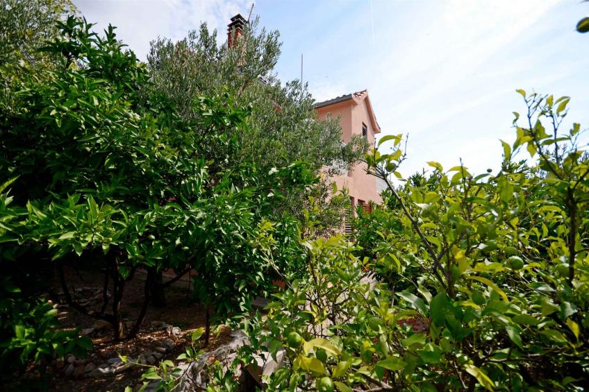Holiday home with air conditioning and sea view - BF-HH5BG - foto 15