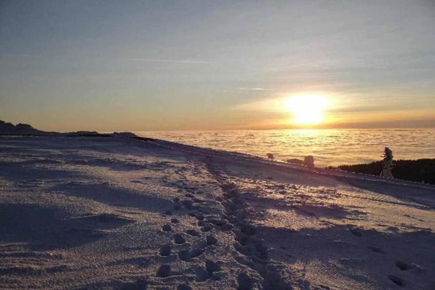 Bayerischer Wald - foto 29