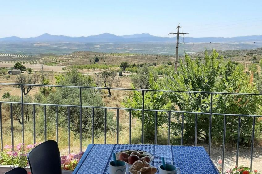 Weingut "Garnacha de Borja". - foto 14