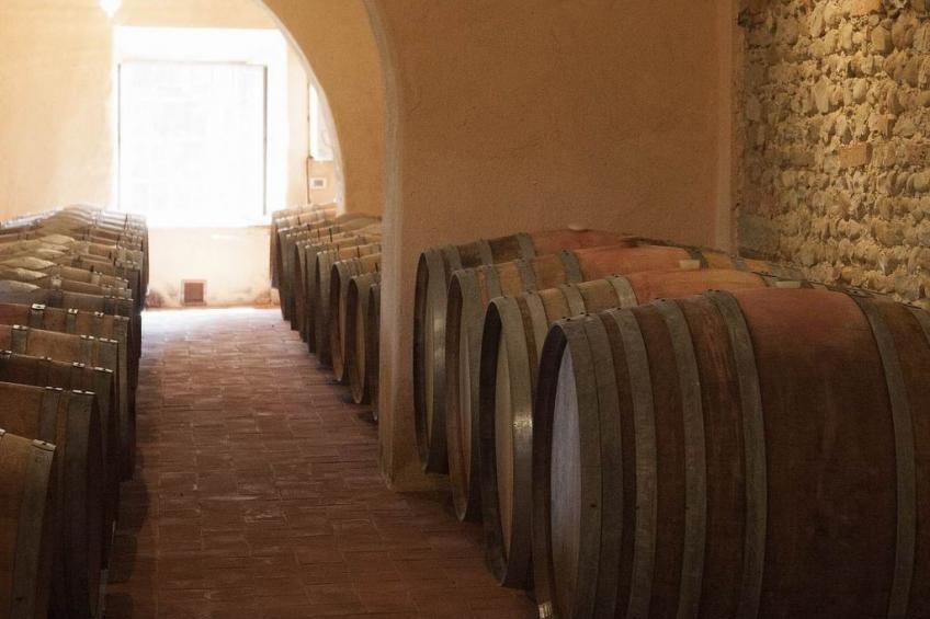 "Ciclamini capponi - foto 15