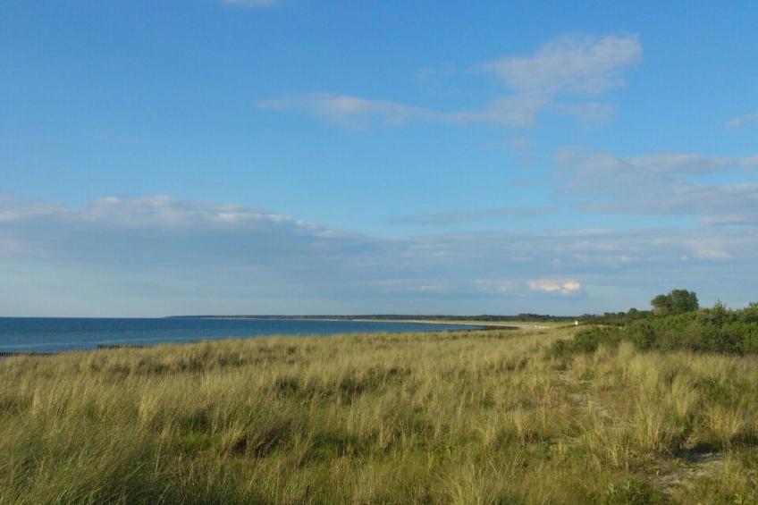 Wohnung in Mönkebude mit Terrasse und Grill - foto 43