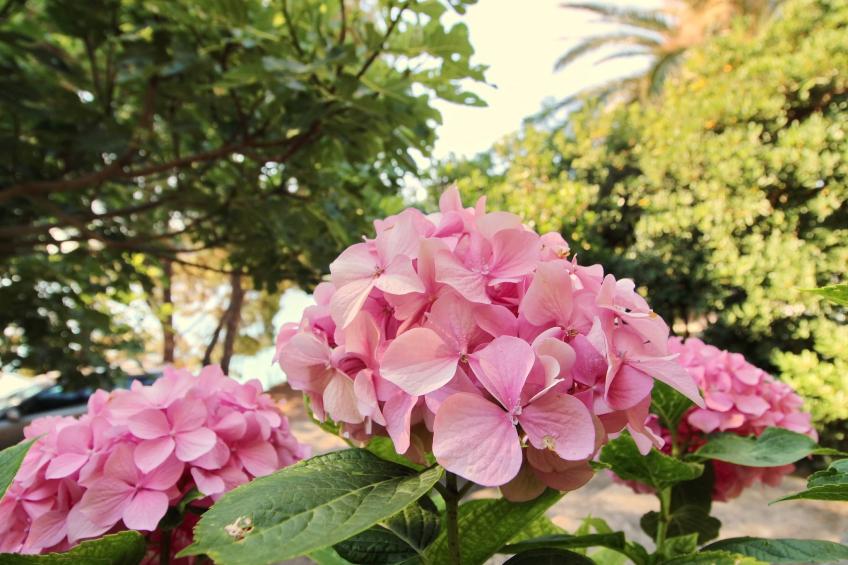 Apartment Kim- Two Bedroom Apartment with Terrace and Sea View - foto 15