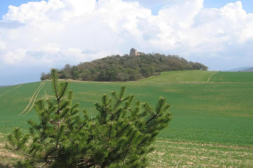Maison de vacances - TANNAY - foto 35