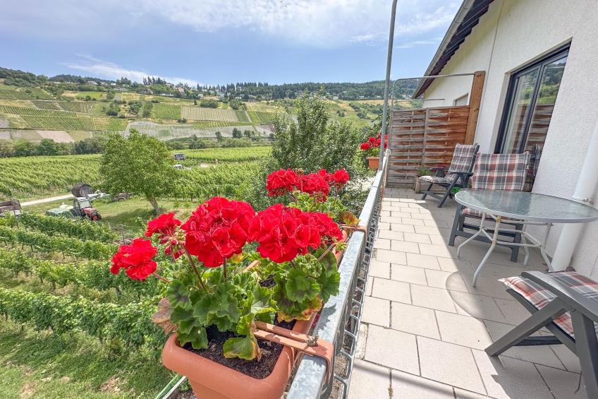 Hermes-Lex Weingut - foto 4