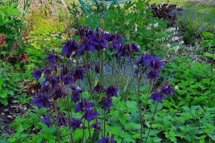 Haus Usziit - Zeit die Seele baumeln zu lassen - foto 28