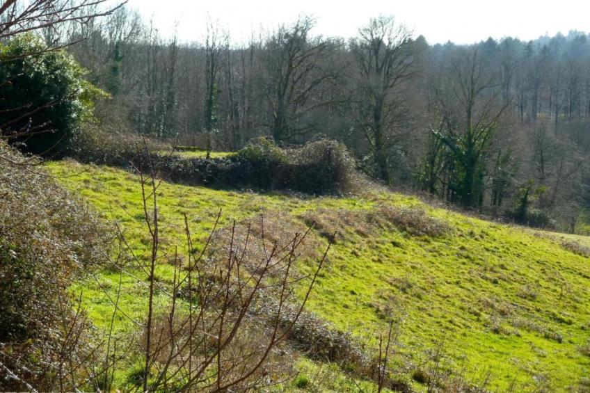 Domaine de Bellac - foto 37