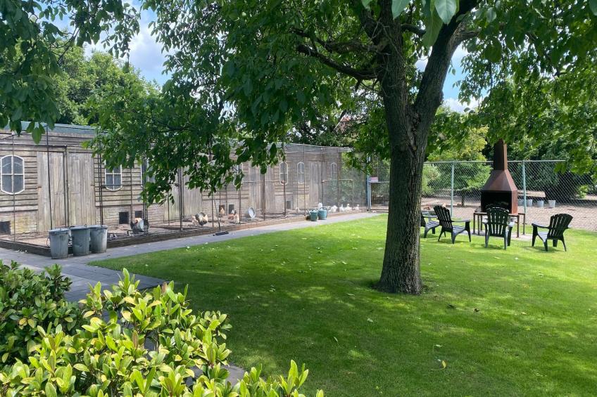 De Hofstede - foto 30