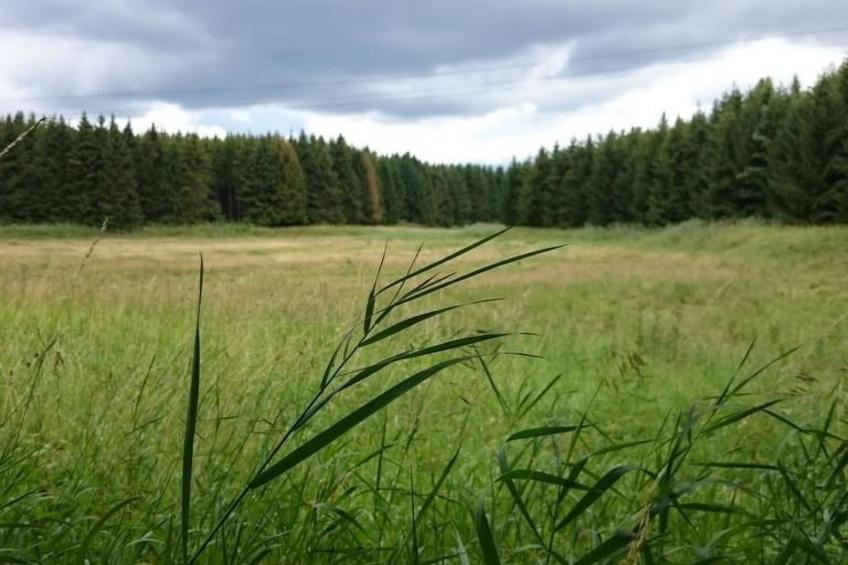 Gemütliche Ferienwohnung im Grünen am See - foto 18