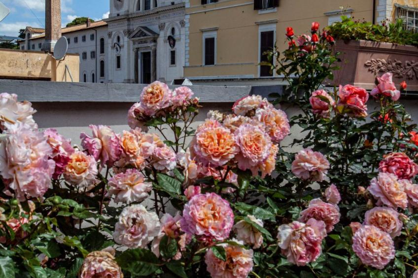 Appartement mit Dachterrasse - foto 27