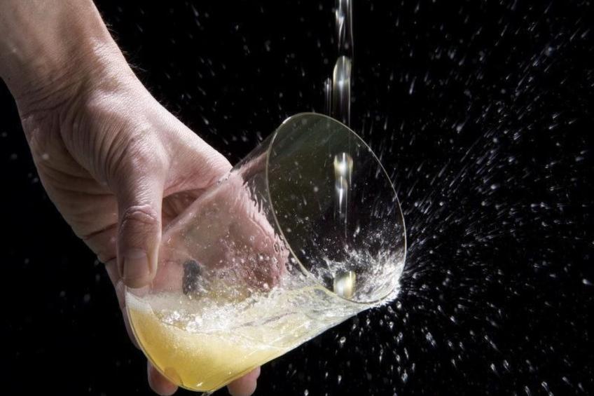 Maria Sopeña in Pruneda - foto 14