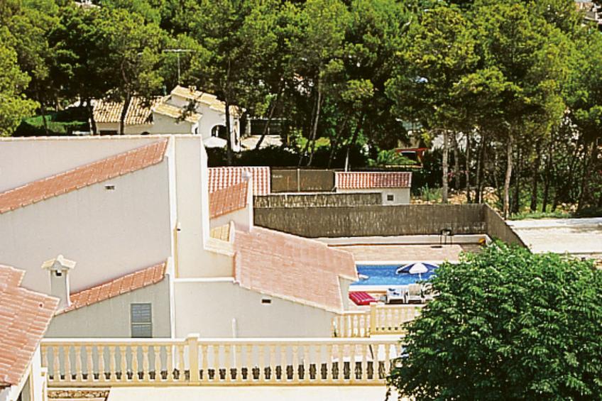 Hierbabuena - foto 20