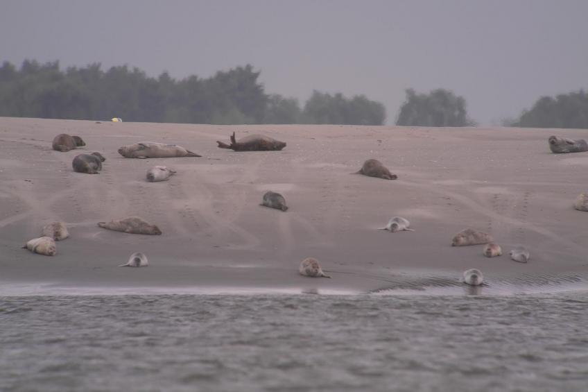 La Bergerie du Festel - foto 27