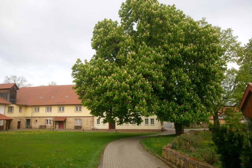 Alte Apotheke - foto 14