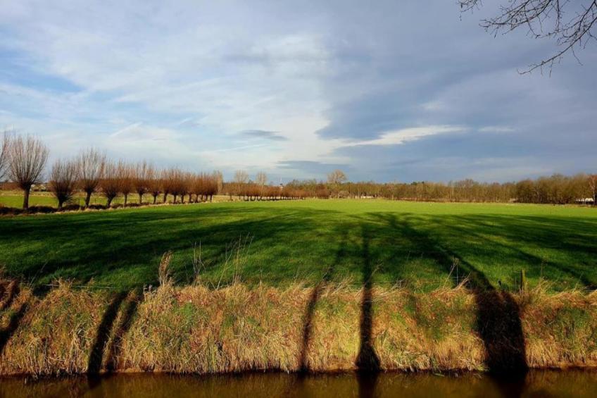 Vakantiepark 't Broeckhuys 3 - foto 29