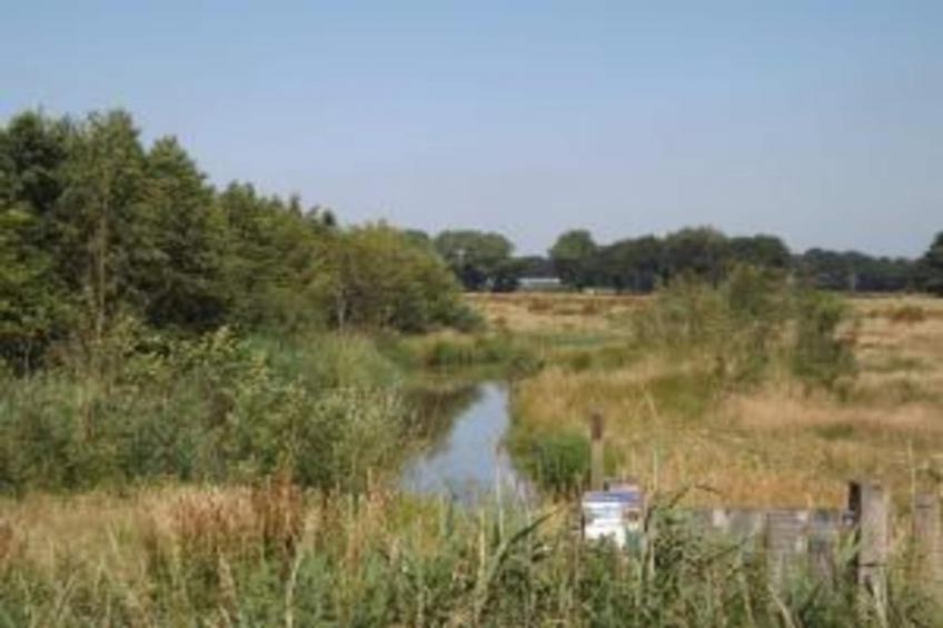 Bungalow 87 - foto 34