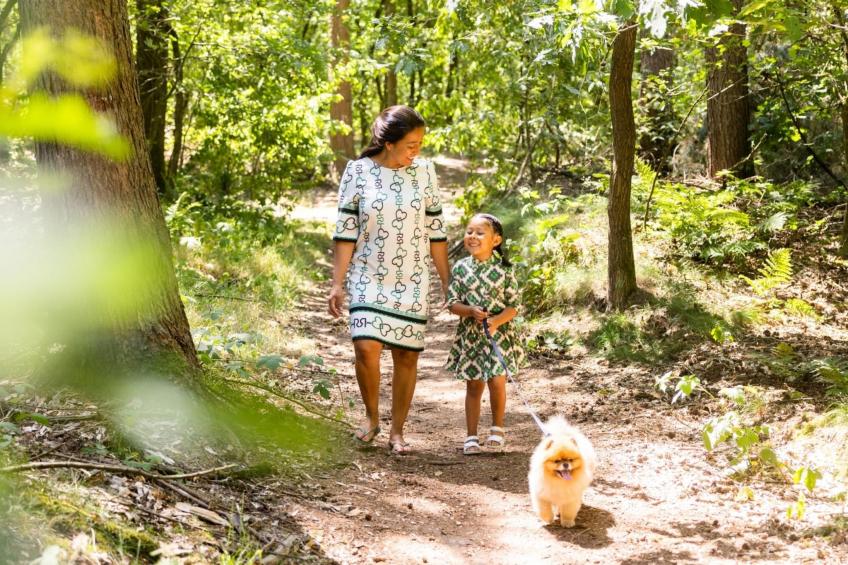 Vakantiepark Latour 3 - foto 15