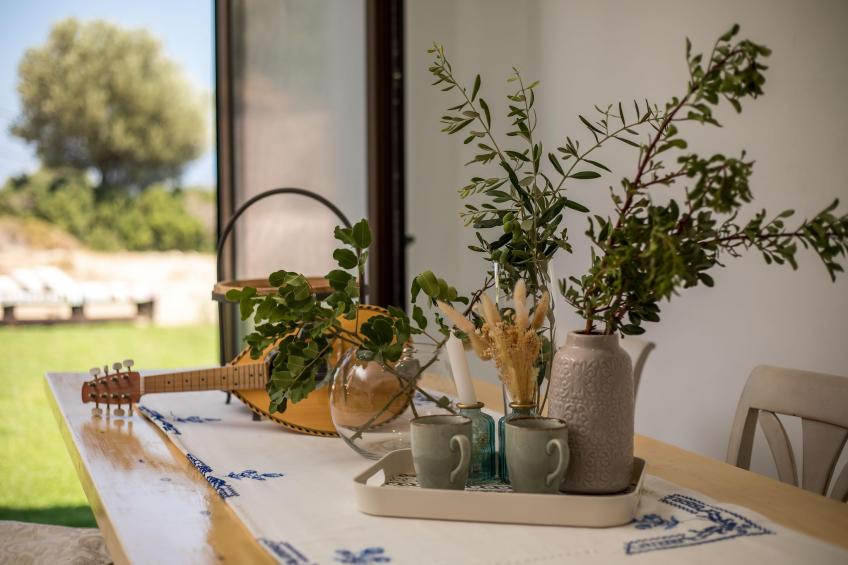 EMARMENE AGROTOURISTIC - foto 8