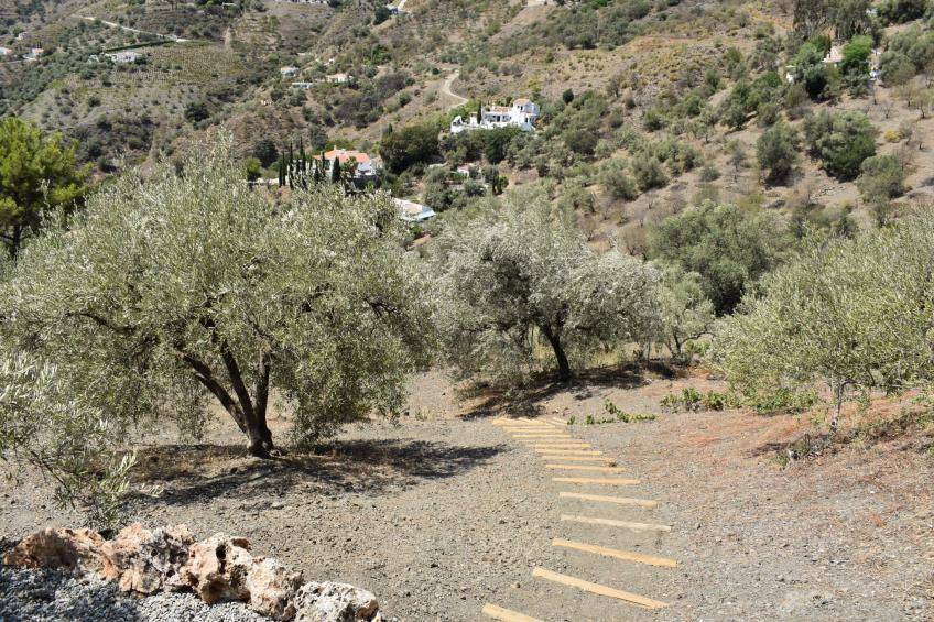 Finca Aguaillo - 20 Minuten zu Fuß ins Dorf - foto 20