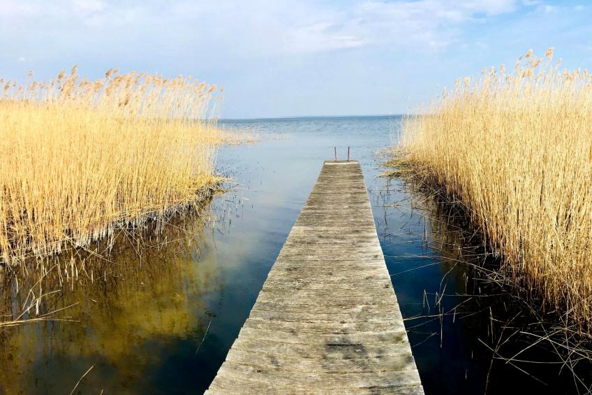 mit Blick auf das Wasser - foto 25