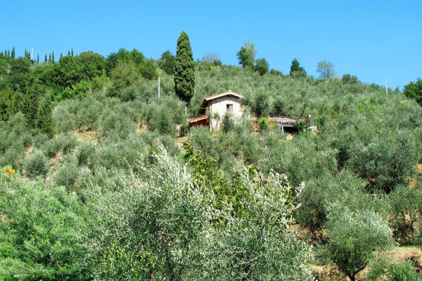 Casa di Iacopo (MTM160) - foto 30