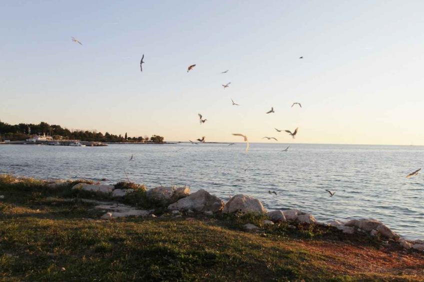 Holiday apartment with air conditioning and sea view - BF-2HBGW - foto 41