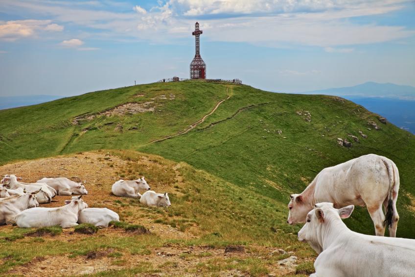 Cozy Counrtry House Btn Florence&Arezzo4 - foto 26