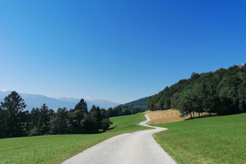 Roßweid Huette - foto 18