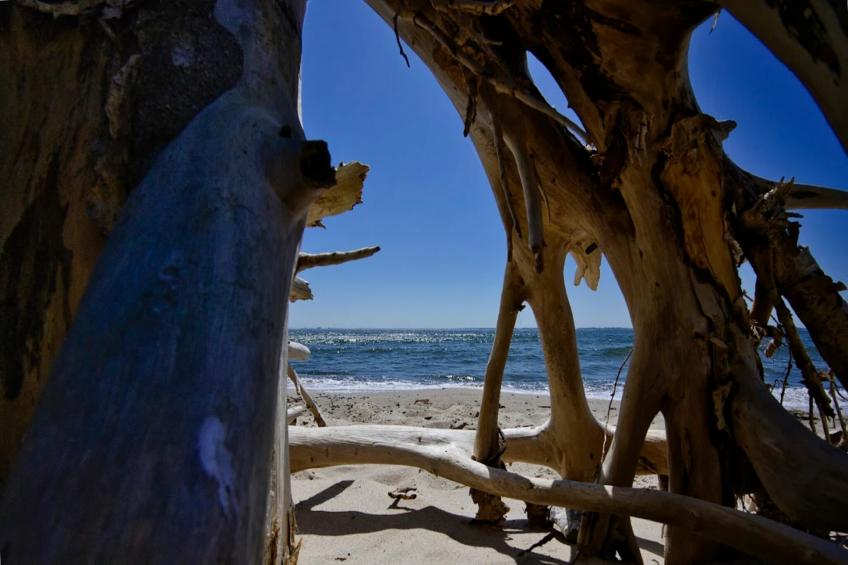 Gutshaus Zicker -Wohnung 3 - foto 32