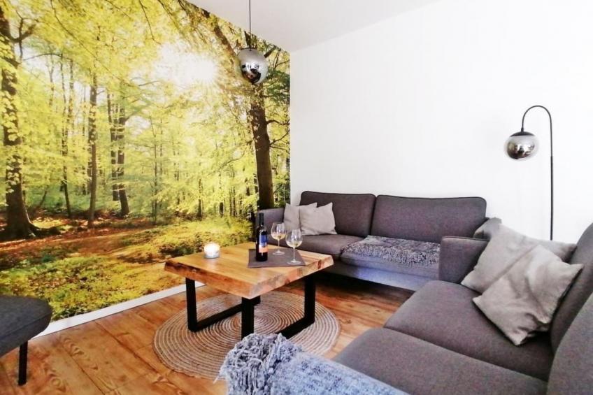 in Bad Brambach mit Großer Terrasse - foto 8