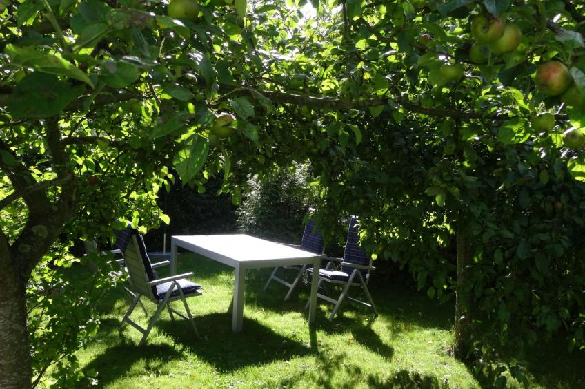 Geltinger Birk - foto 17