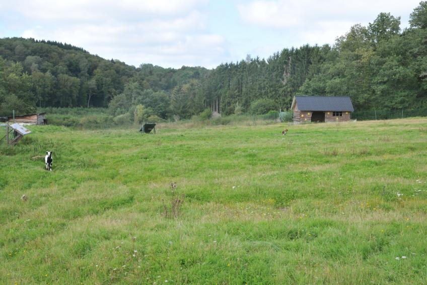 Le Bochetay - foto 28