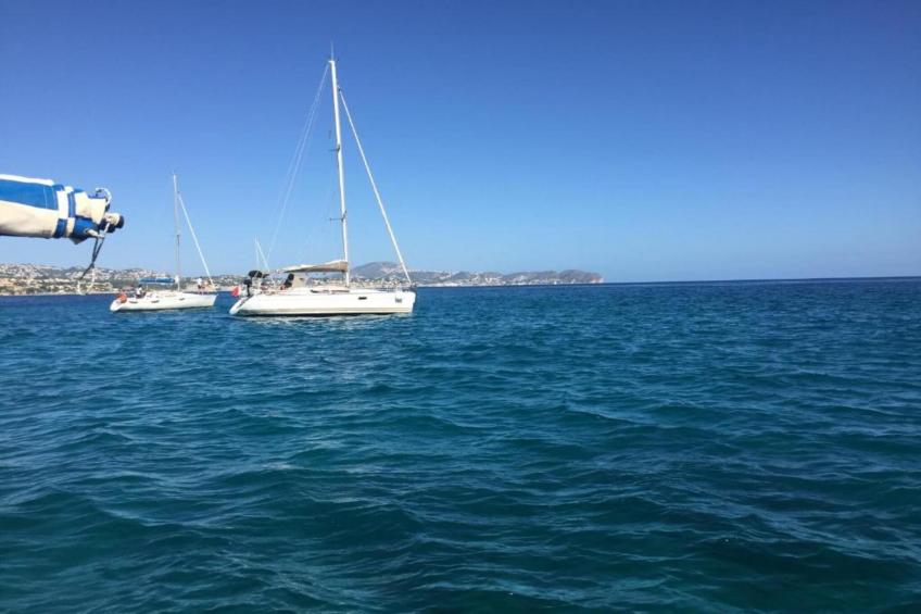 Casa Camelias - foto 32