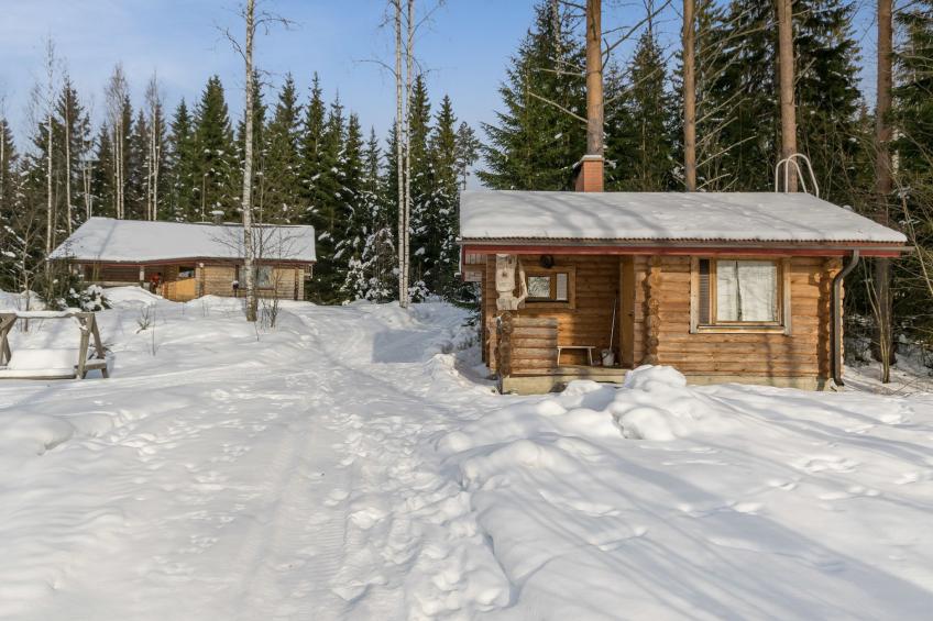 Hevonkuusi - foto 26