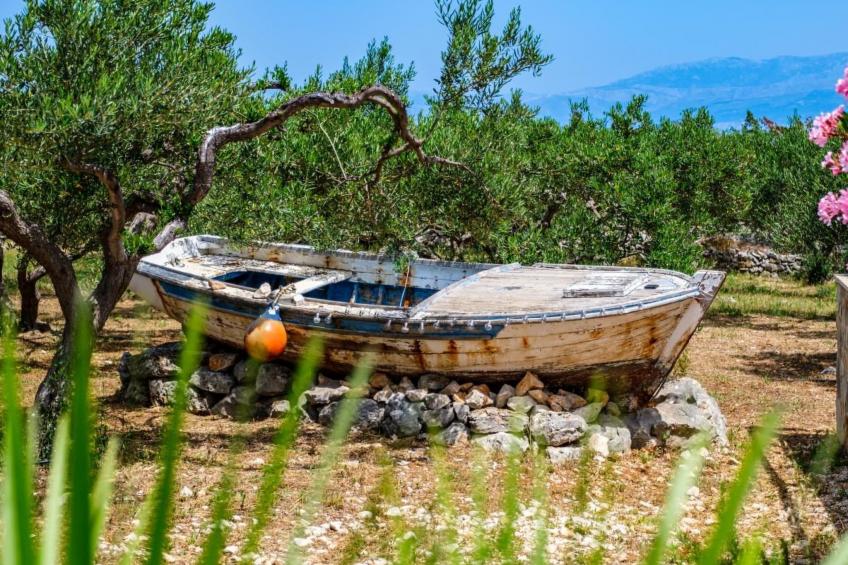 Island Getaway Heritage House - foto 43