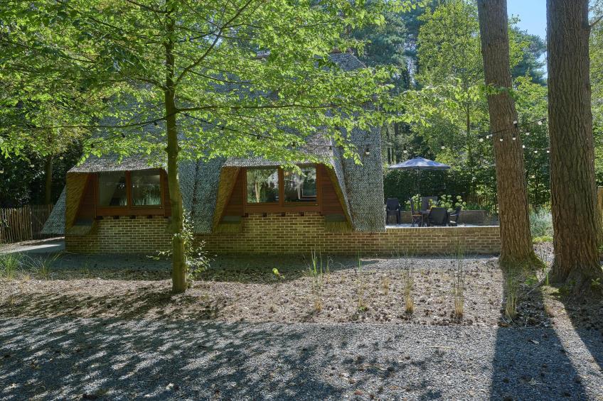 Zwaan 7 - foto 33