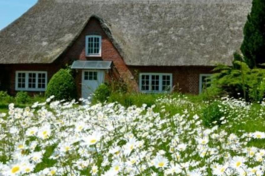 Finkenbusch - foto 2