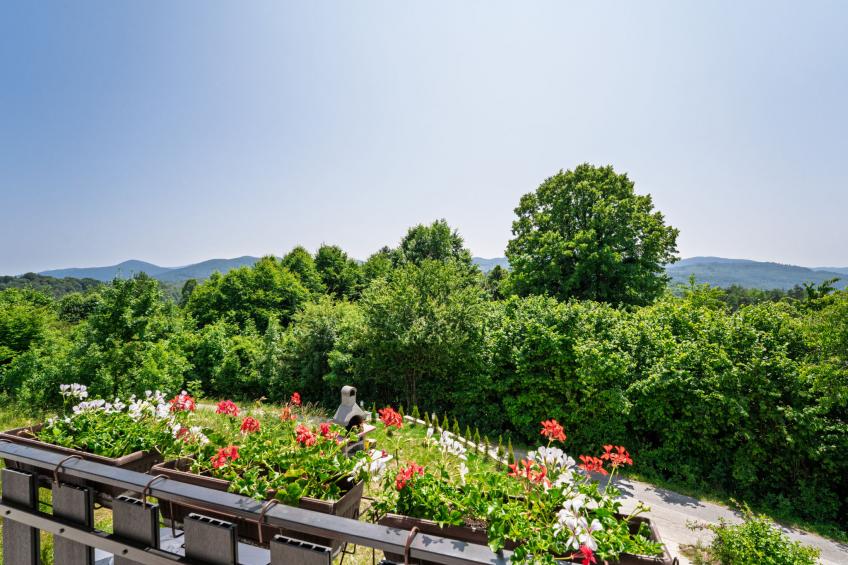 Cosy Home D&D - foto 29