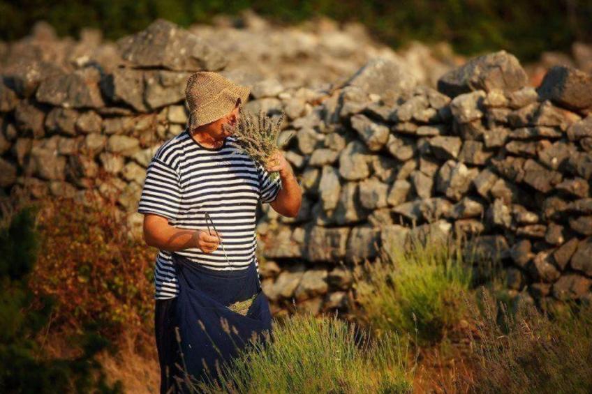 Haus Jakov direkt am Meer - Insel Hvar - foto 48