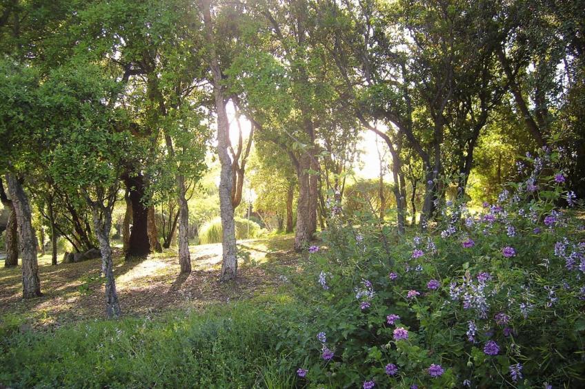 Résidence Marina di Pinarello in Marine de Pinarello - Type D - foto 33