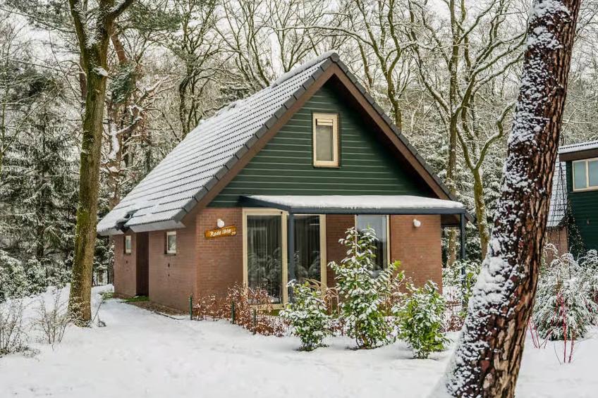 Het Groene Dak - foto 6