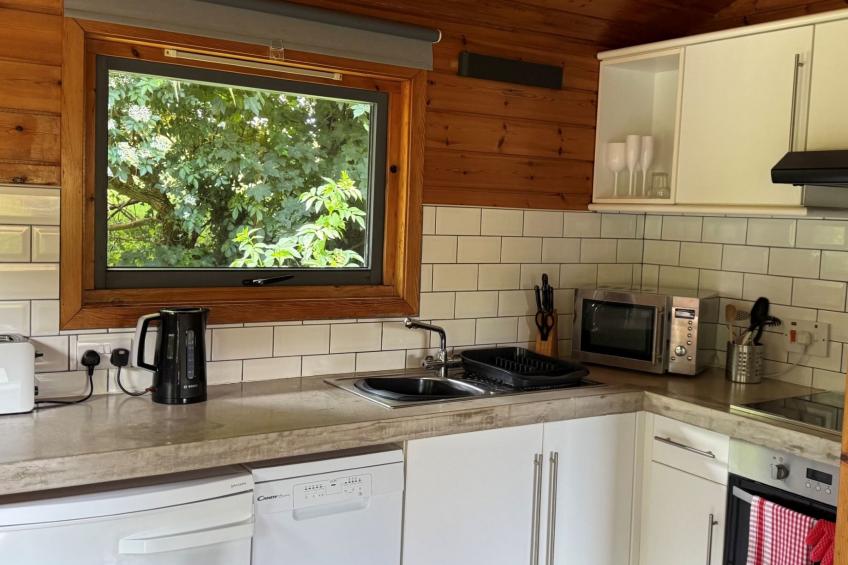 Chestnut Hot Tub Lodge - foto 13