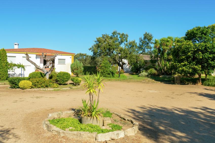 Malvarrosa - foto 36