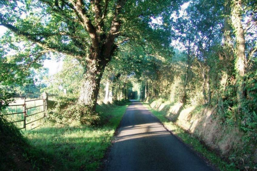 Fachwerkhaus "La Longère" Escapade Normande - foto 40