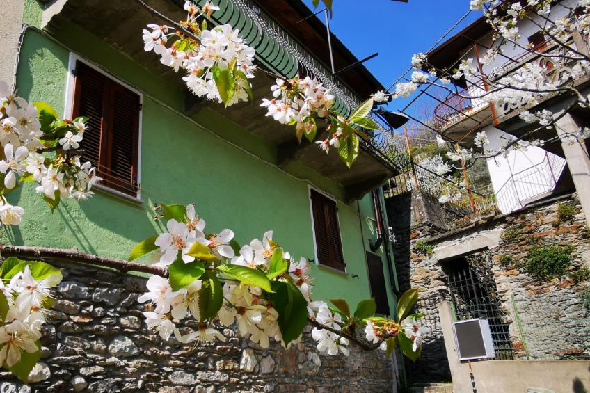 Green House - foto 24