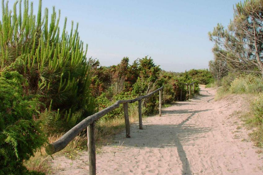 Vakantiewoning 100 m fino a spiaggia - VW-3DGF - foto 18