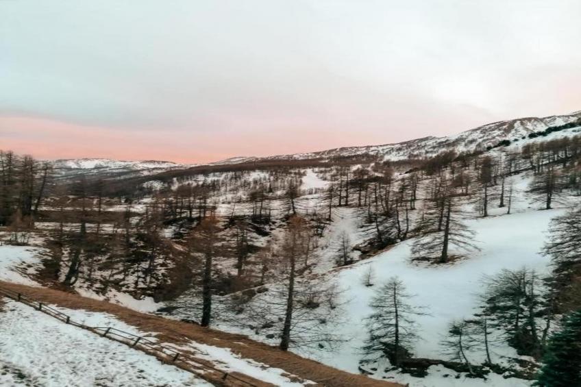 Les Marmottes N°14 - ST4 - foto 37