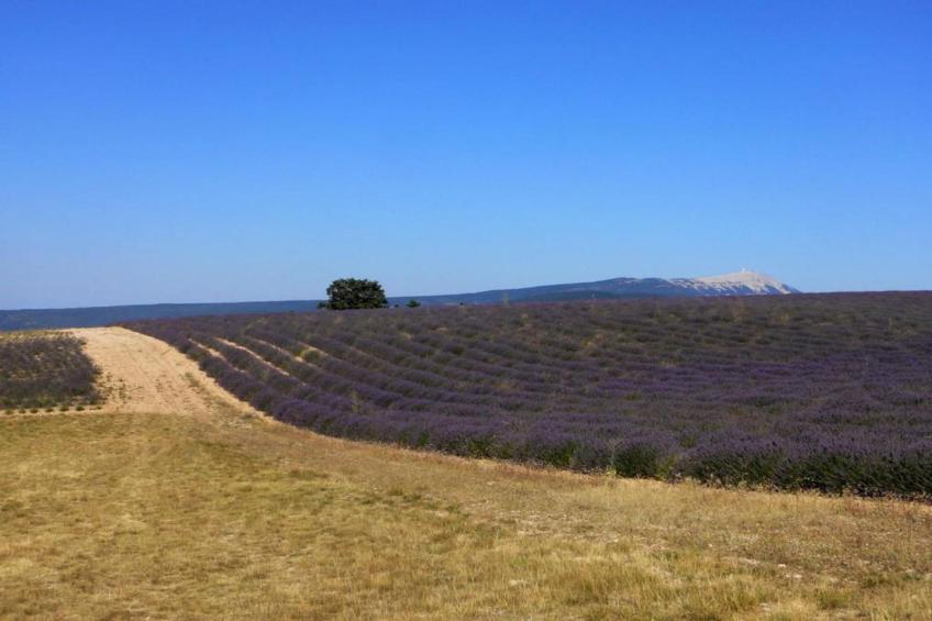 Appartement - LUS-LA CROIX-HAUTE - foto 36