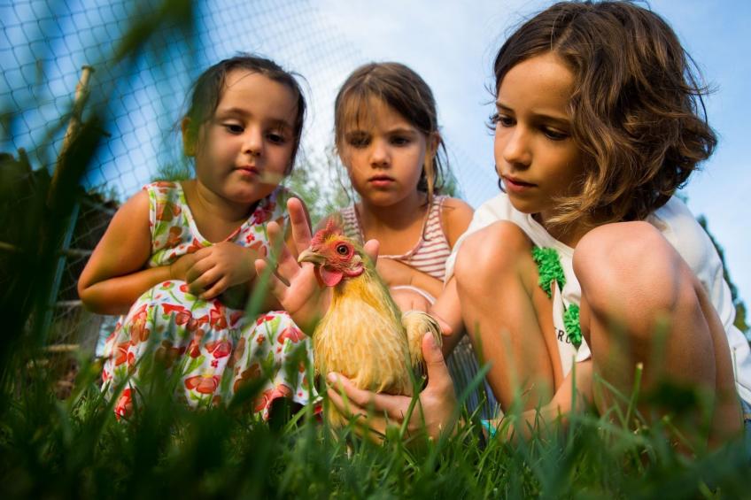 "Cobert del Carro". - foto 28