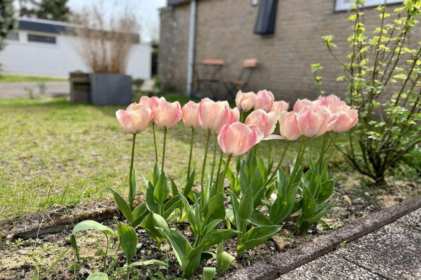 De Schelp 27 - foto 22