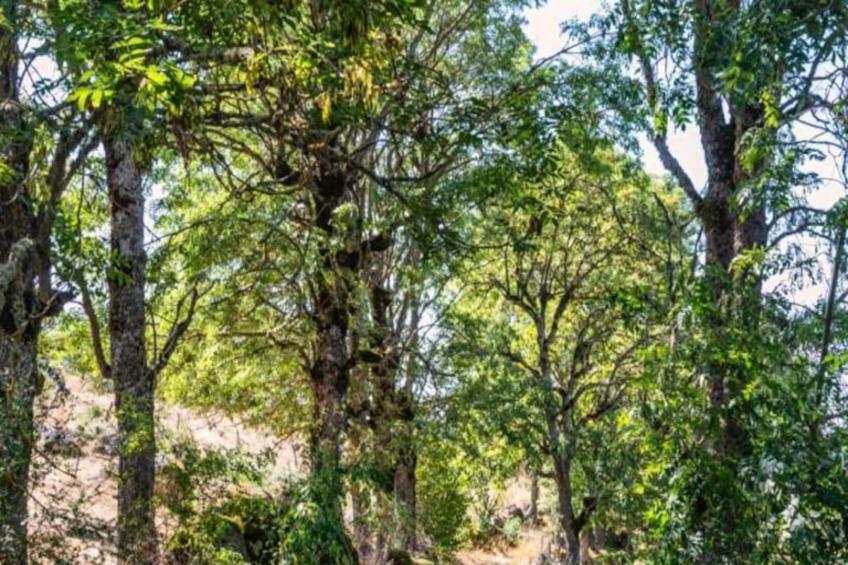 Gîte de France Gîte les bouteillers 6/8 personnes 3 épis - foto 18